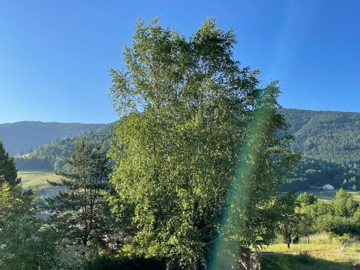 La Maison Des Douceurs Bussang Esterno foto